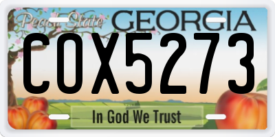 GA license plate COX5273