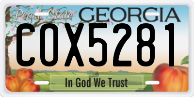 GA license plate COX5281