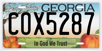 GA license plate COX5287