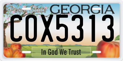 GA license plate COX5313