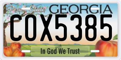 GA license plate COX5385