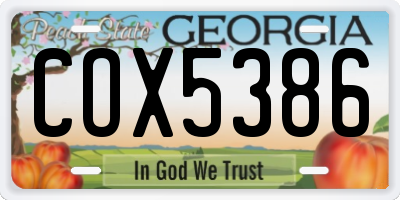 GA license plate COX5386