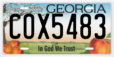 GA license plate COX5483
