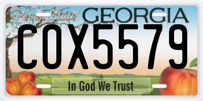 GA license plate COX5579