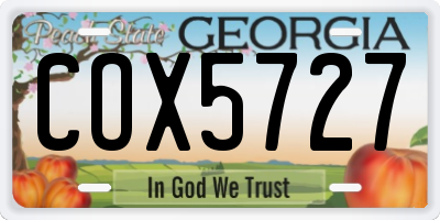GA license plate COX5727