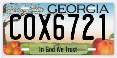 GA license plate COX6721