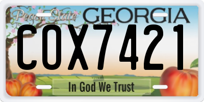 GA license plate COX7421