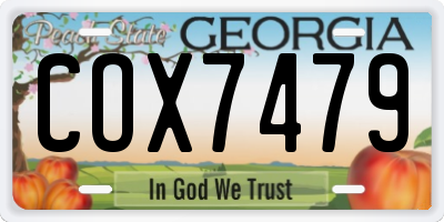 GA license plate COX7479