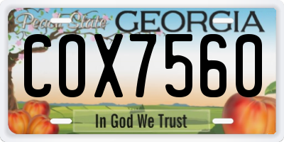 GA license plate COX7560