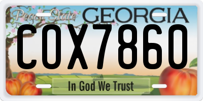 GA license plate COX7860