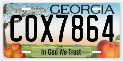 GA license plate COX7864