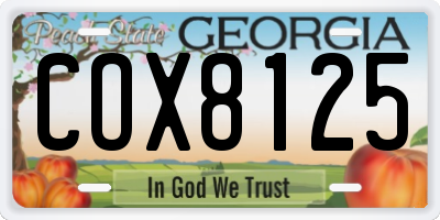 GA license plate COX8125