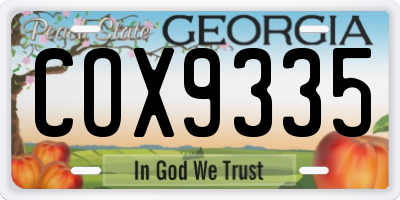 GA license plate COX9335