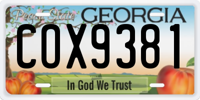 GA license plate COX9381