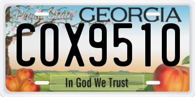 GA license plate COX9510