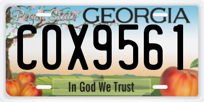 GA license plate COX9561