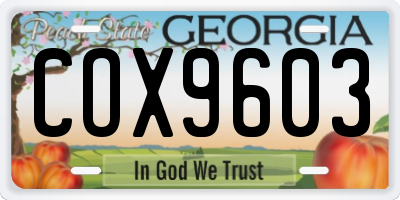 GA license plate COX9603