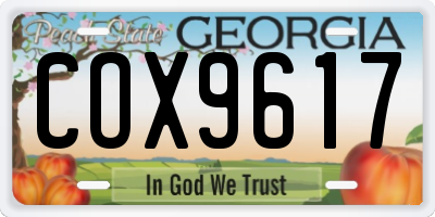 GA license plate COX9617