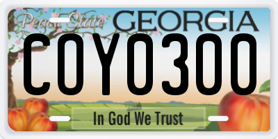 GA license plate COY0300
