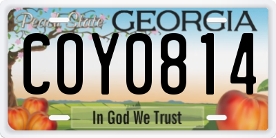 GA license plate COY0814