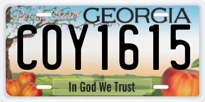 GA license plate COY1615