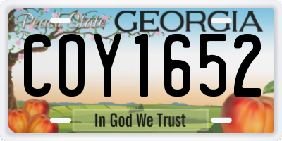 GA license plate COY1652