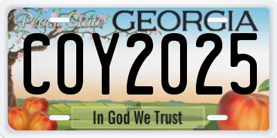 GA license plate COY2025