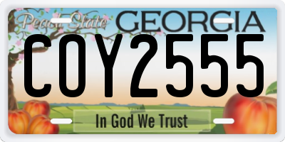 GA license plate COY2555