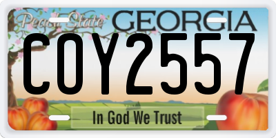 GA license plate COY2557