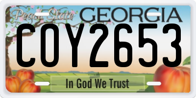 GA license plate COY2653