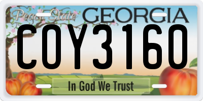 GA license plate COY3160