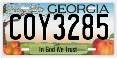 GA license plate COY3285
