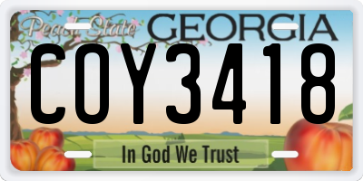 GA license plate COY3418