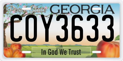 GA license plate COY3633