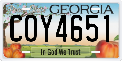 GA license plate COY4651