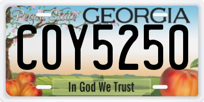 GA license plate COY5250