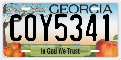 GA license plate COY5341
