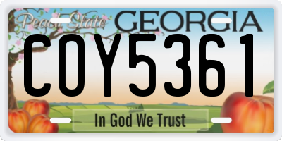 GA license plate COY5361