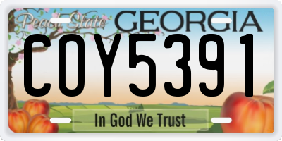 GA license plate COY5391