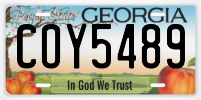 GA license plate COY5489