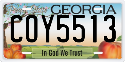 GA license plate COY5513