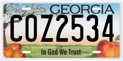 GA license plate COZ2534