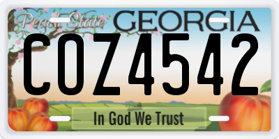 GA license plate COZ4542