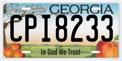 GA license plate CPI8233