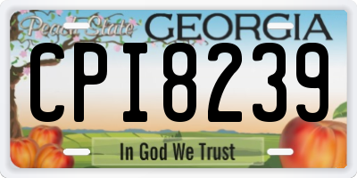 GA license plate CPI8239