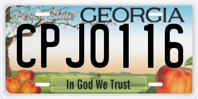 GA license plate CPJ0116