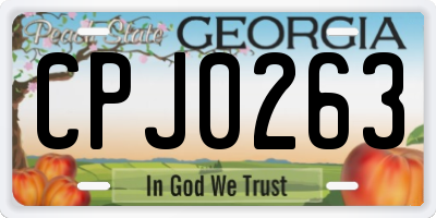 GA license plate CPJ0263