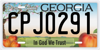 GA license plate CPJ0291