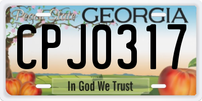 GA license plate CPJ0317