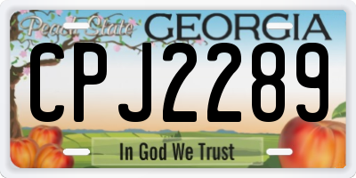 GA license plate CPJ2289